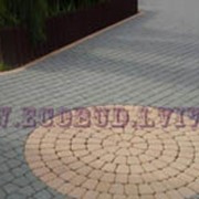 Укладка тротуарной плитки брусчатки г.Львов и Львовская область фото