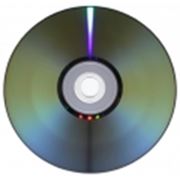 Диск CD-R LS-MEDIA; 700 Mb; bulk; 50 шт.; Тюльпан фото