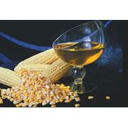 Масло из зародышей кукурузы фото