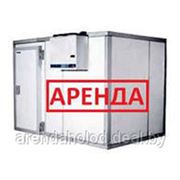 Холодильная камера фото