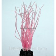 Декор из силикона “Водоросли розовые“ (3,5*3*13) (MI 318 PI) Vitality фотография