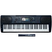 Синтезатор Ringway ТВ600 M фото