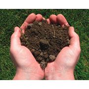 Технические условия на грунты, почвы. фото