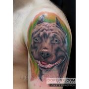 Татуировка Собака (2 сеанса) фото