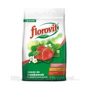 Florovit (Флоровит) Минеральное удобрение для земляники и клубники 3 кг фото