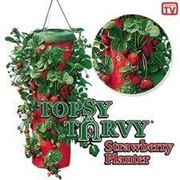 Topsy Turvy, Planter выращивание клубники, хороший урожай, купить недорого фотография
