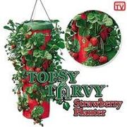 Topsy Turvy, выращивание клубники, хороший урожай, недорого фото