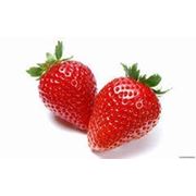 Свежая ягода клубники урожай 2013 года клубники Рассада клубники ананасная фото