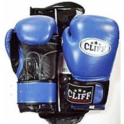 Перчатки боксерские C.TECH кожа, синие, 12 OZ фото