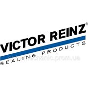 Комплект сальников клапана на Renault Trafic 03-> 2.5dCi (к-т 16 шт) — Victor Reinz (Германия) - 12-31306-01 фото