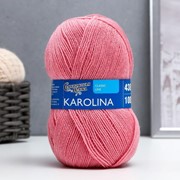 Пряжа Karolina (Каролина) 100% акрил 438м/100гр (64 клевер) фото