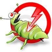 Дезинсекция, уничтожение опасных насекомых