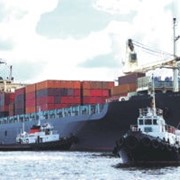 Перевозки грузов морские контейнерные