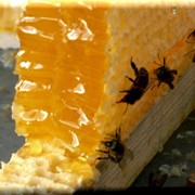 Мёд из разнотравья, цветочный мед
