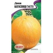 Дыня Колхозница 2г фото