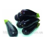 Баклажан «Анет» F1 1000 нас. Нунемс (Nunhems) фото