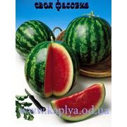 Семена арбуза Ройал Кримсон Свит 20 грамм. Семинис. фото