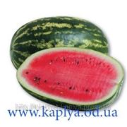 Семена арбуза Думара F1 1000сем. Нунемс. фото