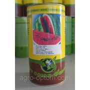 Семена арбуза Топ Ган (первый сбор) в баночной упаковке 500 г фото
