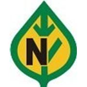 Семена салата Ронали 1000 сем. Никерсон цван. фото