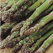 Спаржа Белая, Зеленая, Фиолетовая фото