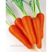 Семена моркови АБАКО F1 200000 сем. Семинис. фотография