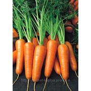 Морковь Роял Шансон 100 г. фото