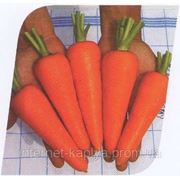 Морковь абликсо 1000сем. Seminis. фото