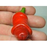 Penis Peppers,огненный, 5 семян! Эксклюзив!!! + бесплатная доставка фото