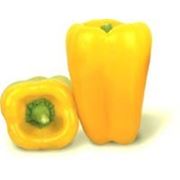 Перець Джемені 1000 н Nunhems фото