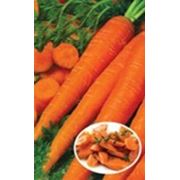 Морква Флакоро кг. на зберігання фото