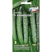 Огурец Аллигатор Ф1 фото