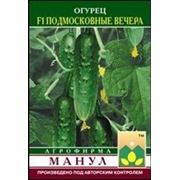 Огурец Подмосковные Вечера Ф1 фото