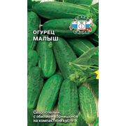 Огурец Малыш 0,3г фото