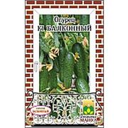 Огурец Балконный Ф1, 12семян фото