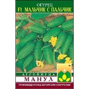 Огурец Мальчик с Пальчик фото