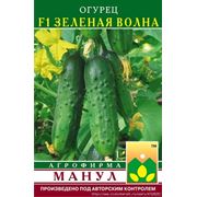 Огурец Зелёная Волна Ф1 фото