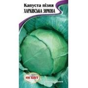 Капуста поздняя Харьковская зимняя 1г фото