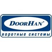 Гаражные секционные ворота DoorHan Днепропетровск фото