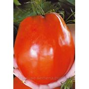 Томат Де барао Гигант фото