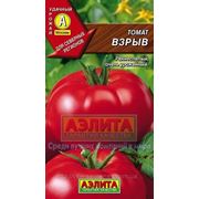 Томат Взрыв фото
