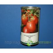 Семена томатов Яки 25 000с фотография