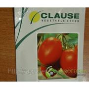 Семена томатов Колибри 250 с фотография