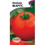 Томат Икарус 0.15г фото