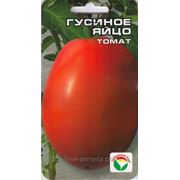 Томат Гусиное Яйцо фото