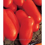 Семена томат Цилао F1 производитель:Tezier Франция (количество семян в упаковке 5 г) фото