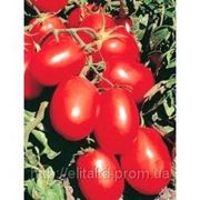 Семена томата Рио Гранде (0.5 кг) Хазера Генетикс фотография