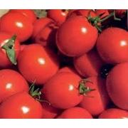 Семена томат Солероссо F1 Производитель: Nunhems Нидерланды (семян в упаковке 1000 шт, драже ) фото