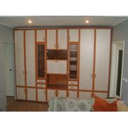 Шкафы гардеробные Шкафы встроеные Шкаф для одежды Шкаф в гостинную фото