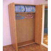 Шкафы гардеробные фото